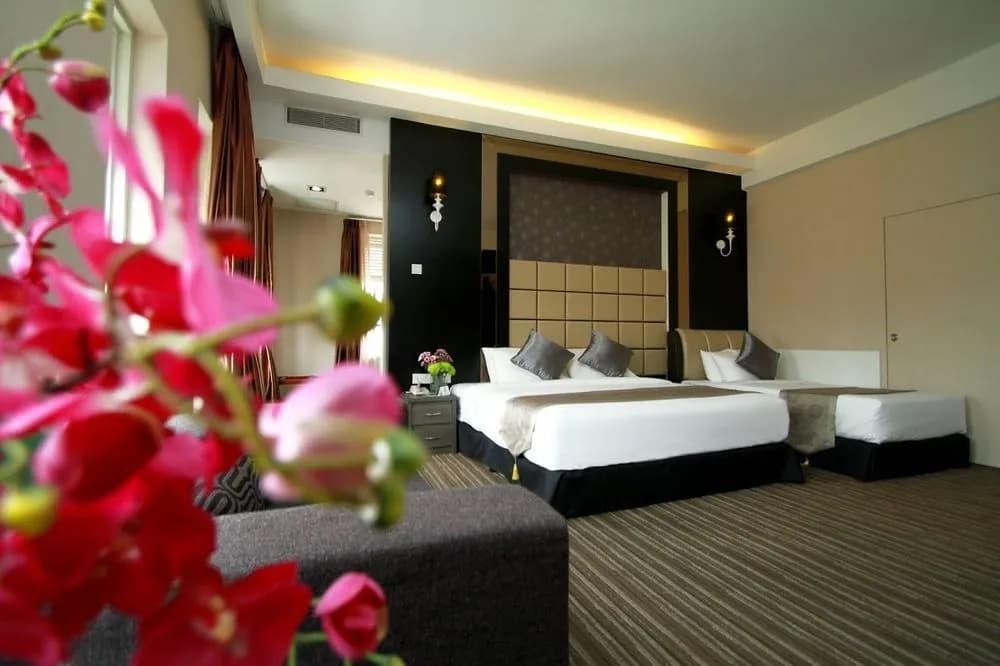 Ajit Guest House & Hotel - photo 3