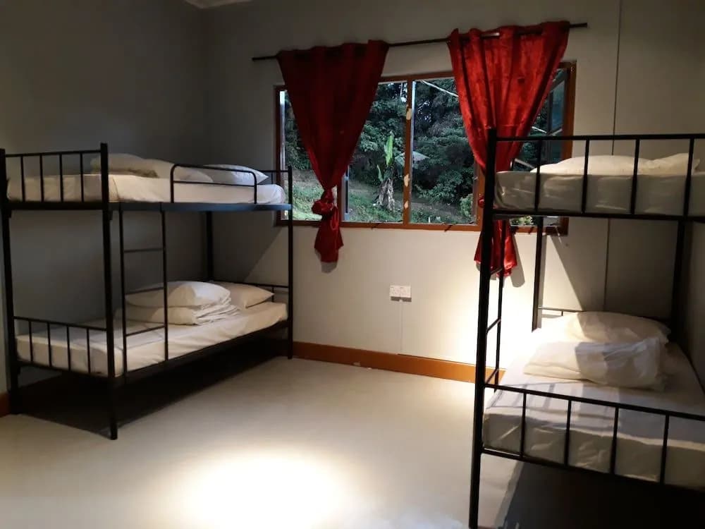 Farm Guest House - Hostel - photo 2