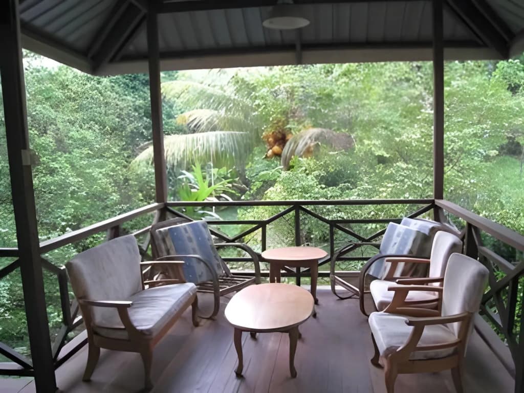 Slagon Homestay - photo 11