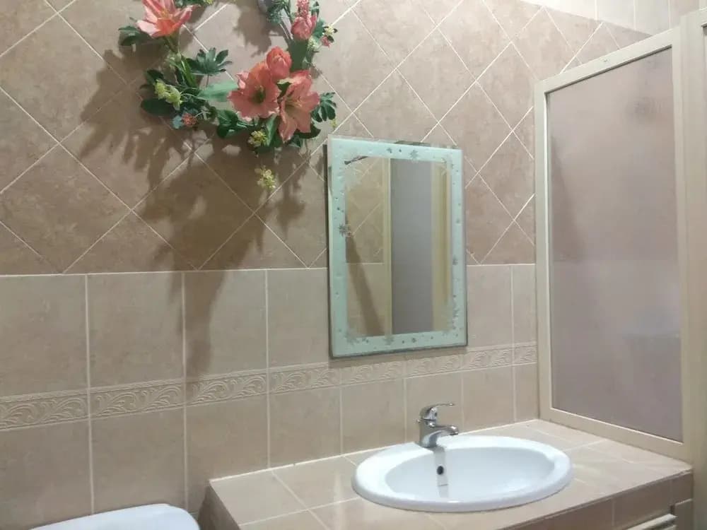 Villa Shamir near KLIA - photo 10