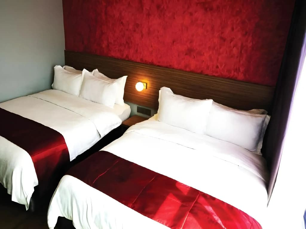 Apollo Inn - Hostel - photo 4