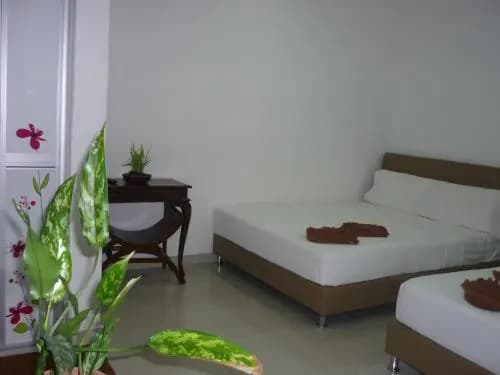Hotel Paka INN - photo 3