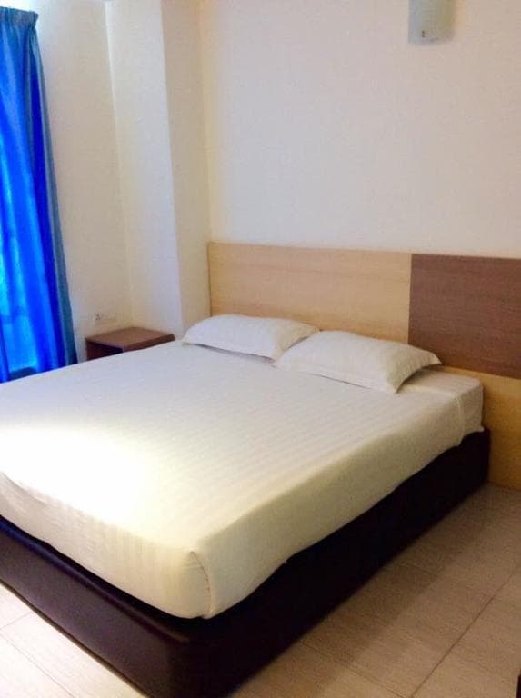 Dolphin Hotel - photo 19