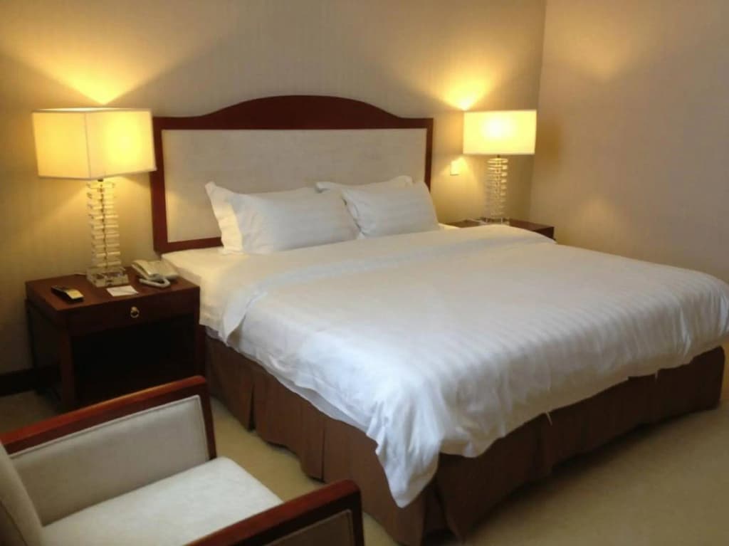 Gaya Centre Hotel - photo 5