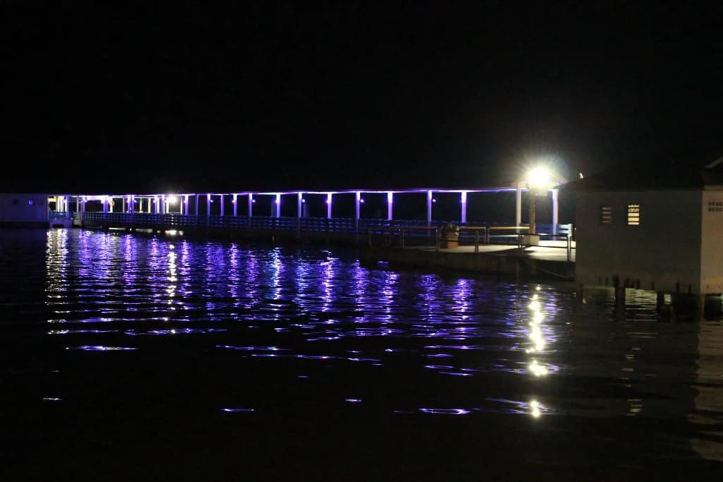 Sea Lion Hotel @ Pulau Ketam - photo 11