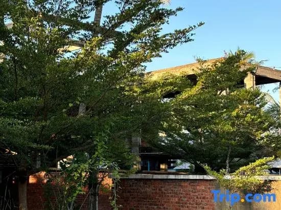 The Seven Gardens Resort & Spa - photo 10