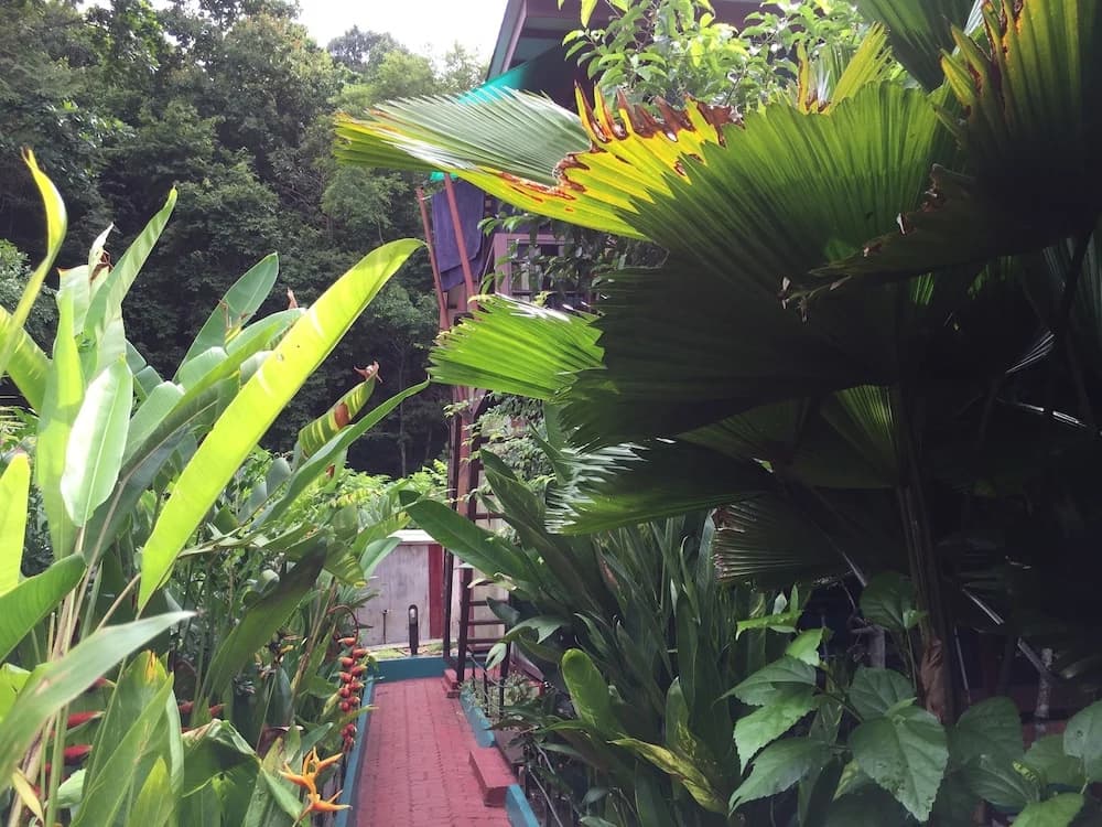 T Star Cottage - photo 26