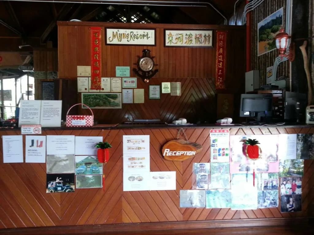 Myne Resort - photo 9