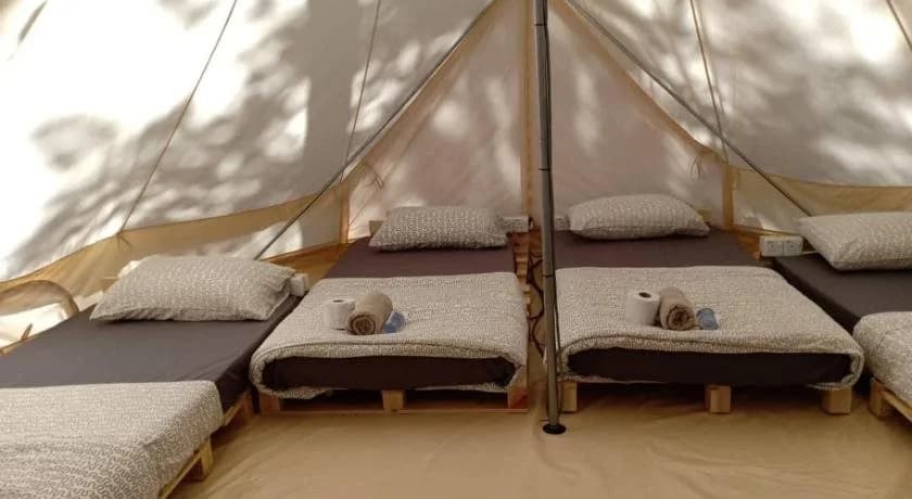 Danz Eco Resort - photo 3