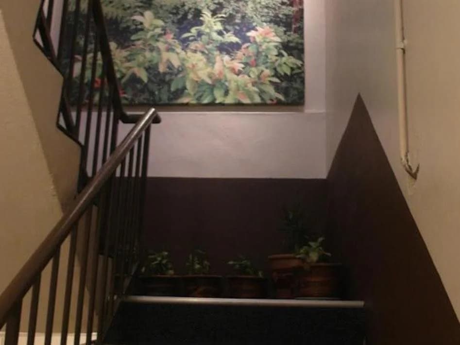 Camellia Budget Inn - photo 10