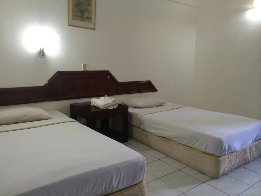 Palace Inn - photo 7