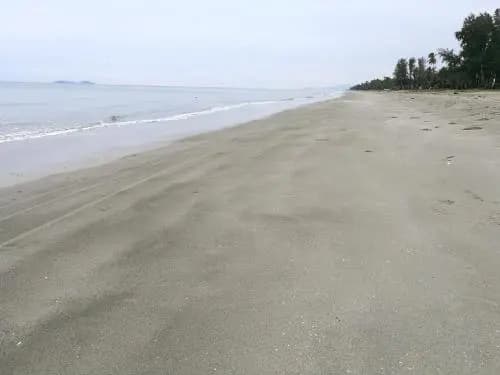 Ala Beach Lodge - photo 11
