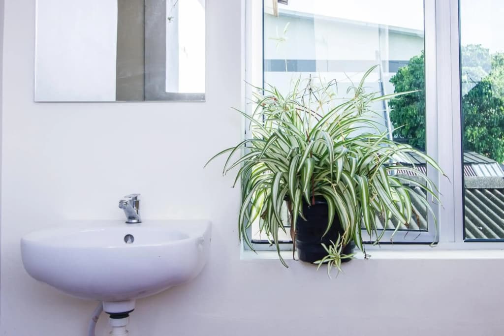 Explore 5BR Gardenhouse Retreats (Free Parking) - photo 7