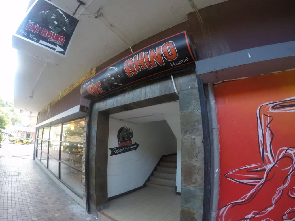 Fat Rhino Hostel - photo 9