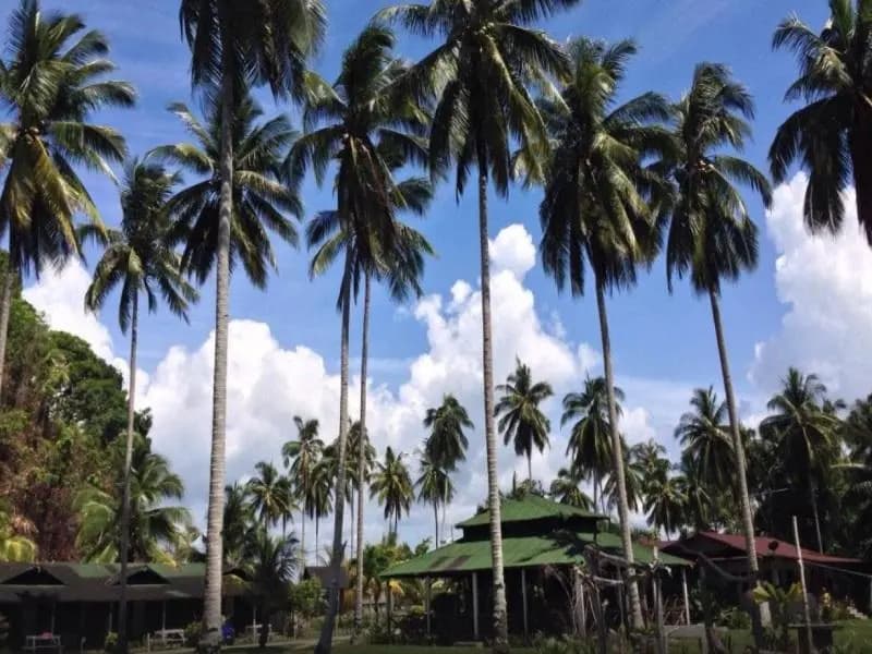 Fishing Bay Resort - photo 9