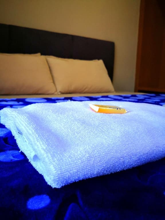 Zahaar New Wing Hotel - photo 9