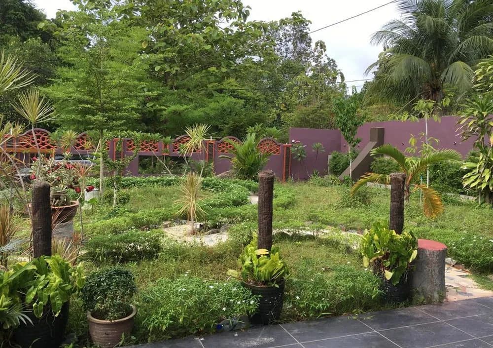 My Forest Hotel - photo 16