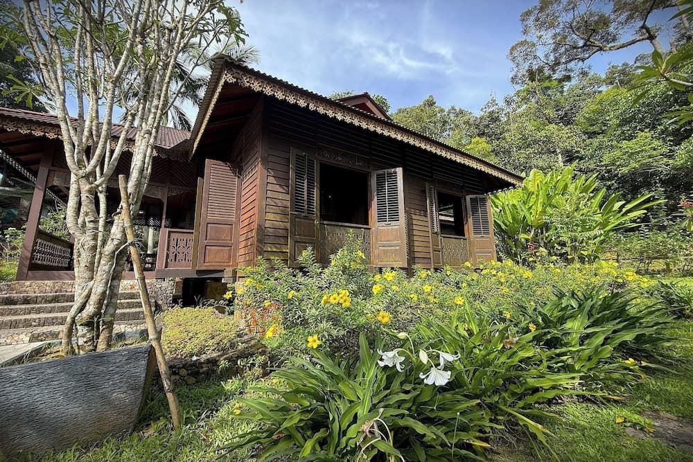 Kebun Rimba Janda Baik - photo 37