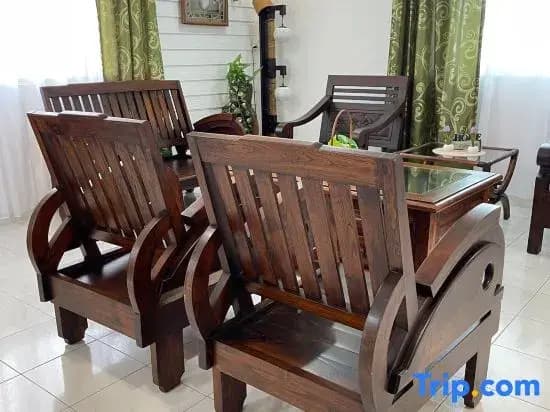 Style Star Inn Homestay (Alisa) - photo 8