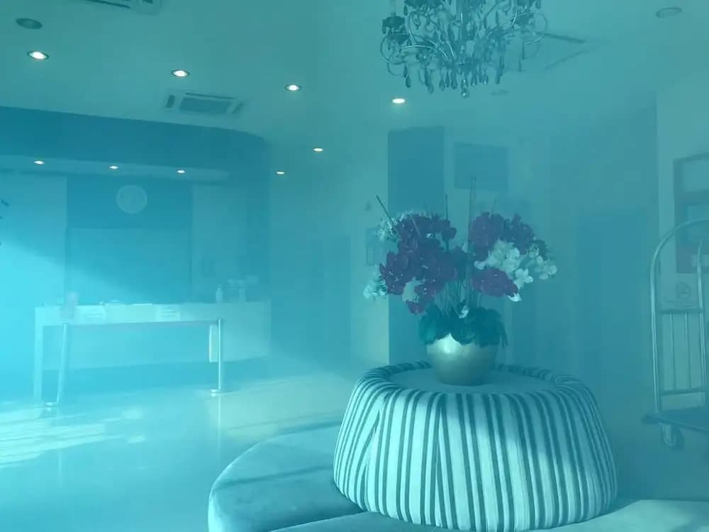 Aurora Boutique Hotel - photo 5