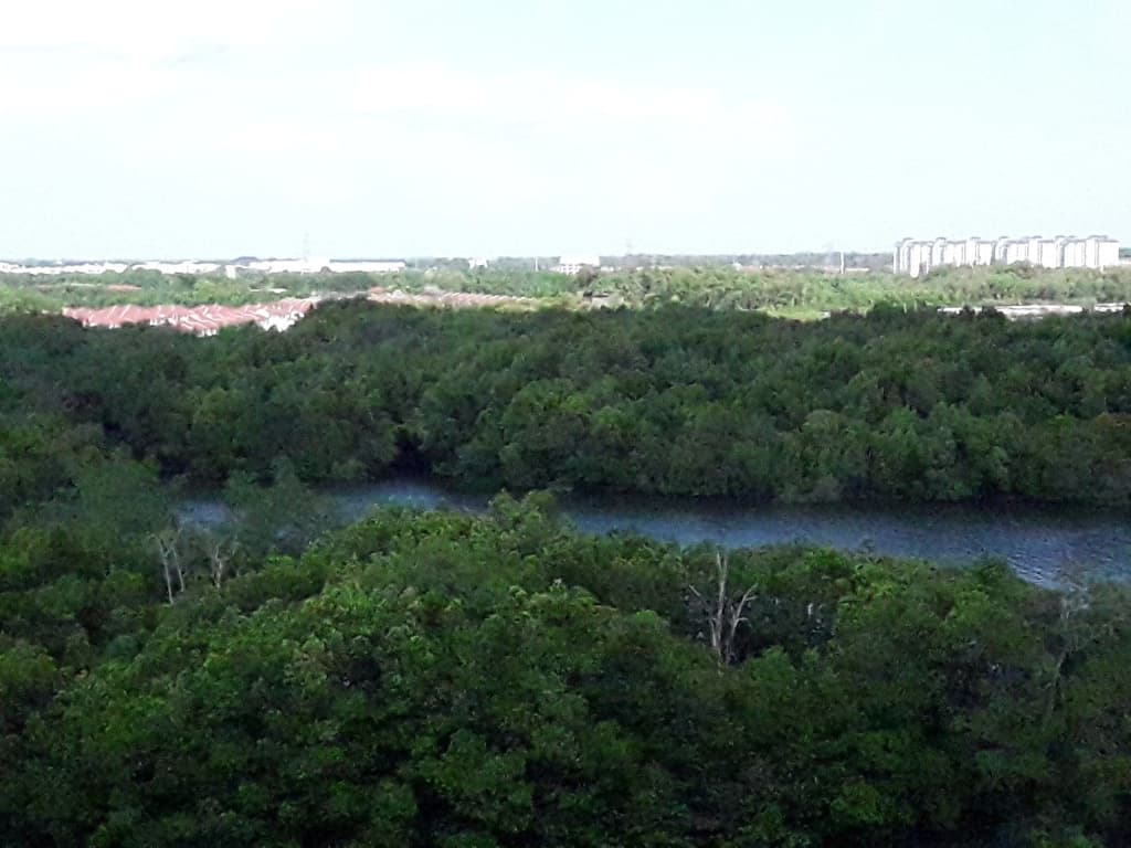 Lumut Guesthouse Apartment Hotel - photo 20