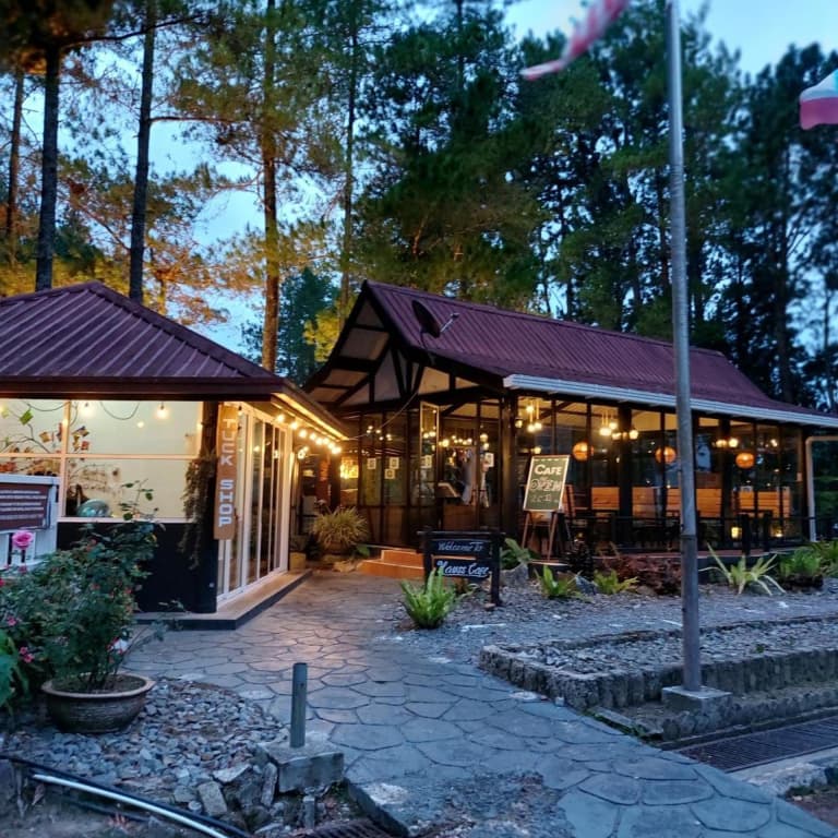 Perkasa Hotel Mt Kinabalu - photo 31