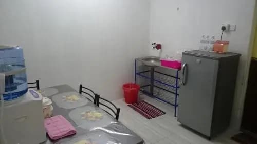 Arina`s Homestay - photo 4