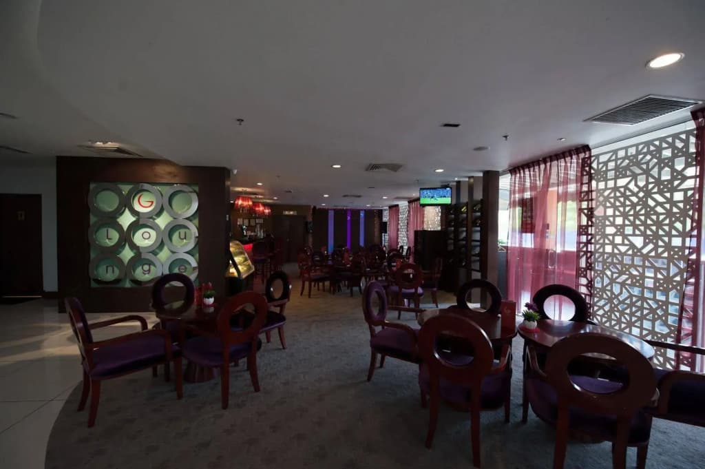 Gaya Centre Hotel - photo 22