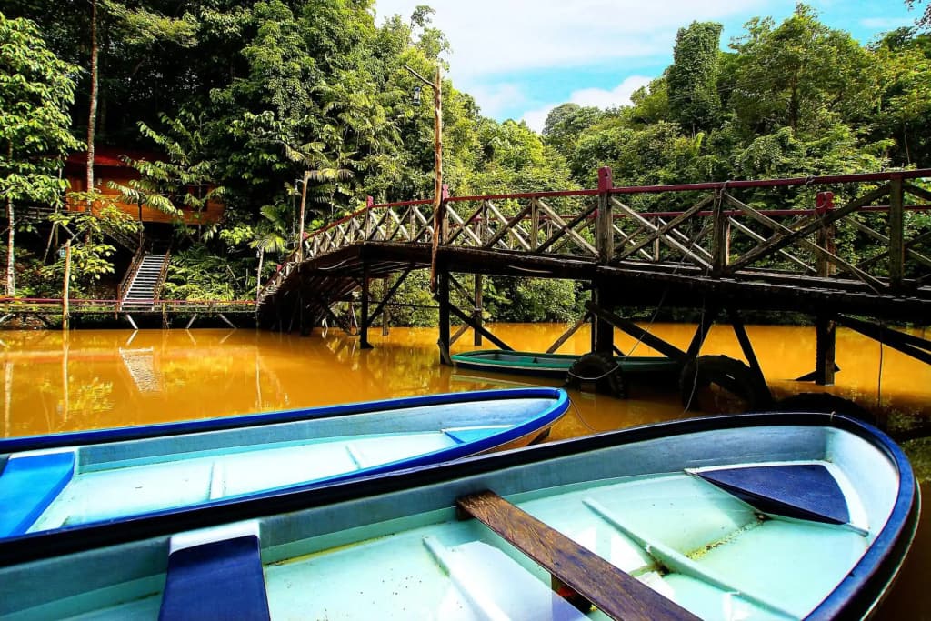 Borneo Tropical Rainforest Resort - photo 7