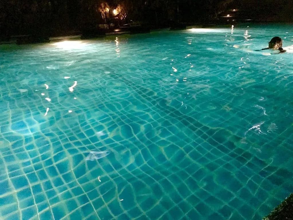 G&Y House - photo 10