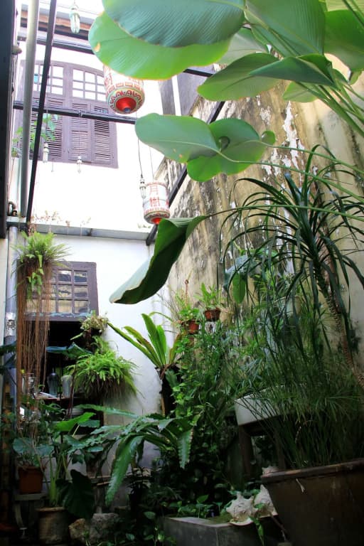 MoonTree47 - photo 10