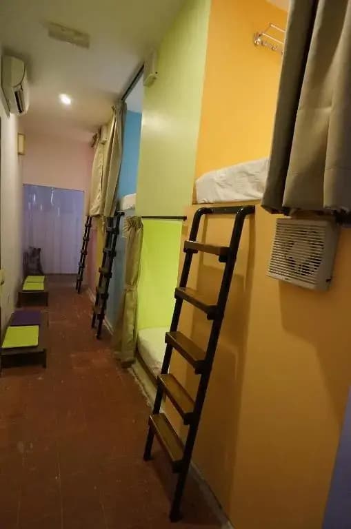 Thirty Three Stewart Houze - Hostel - photo 32