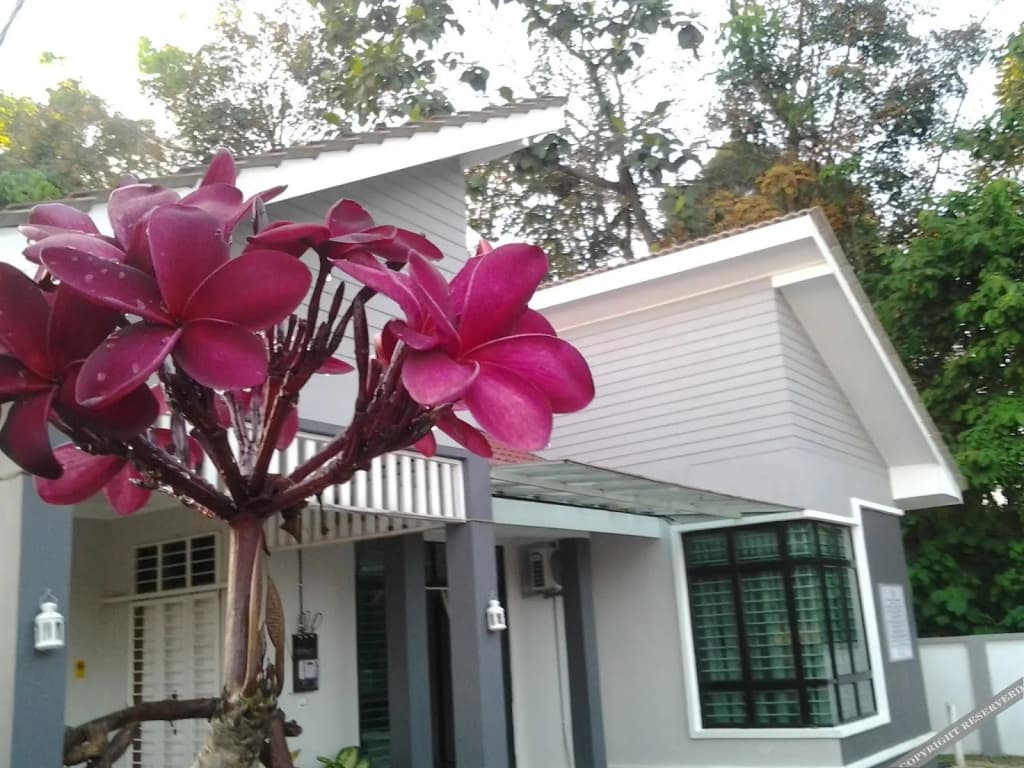 Morak Villa Resort - photo 1