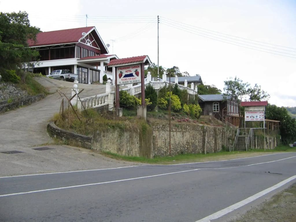 Strawberry Garden Hotel - photo 8