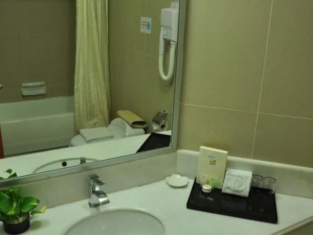 Tang Dynasty Park Hotel - photo 10