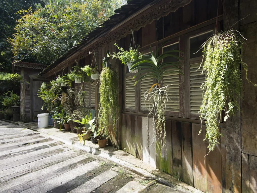 Fig Tree Hills Resort - photo 15