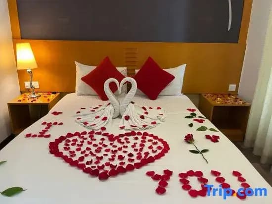 Nova Highlands Resort & Residence - photo 22