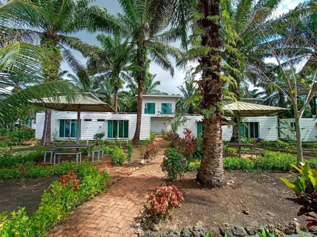Sipadan Palm Resort - photo 6