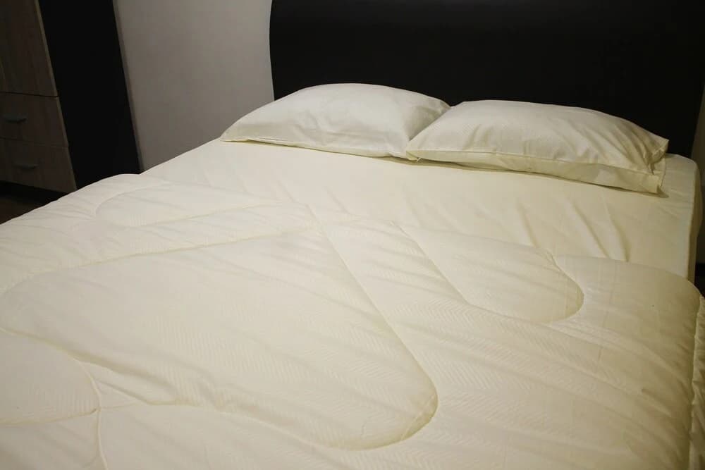 Winsen Roomstay - photo 3