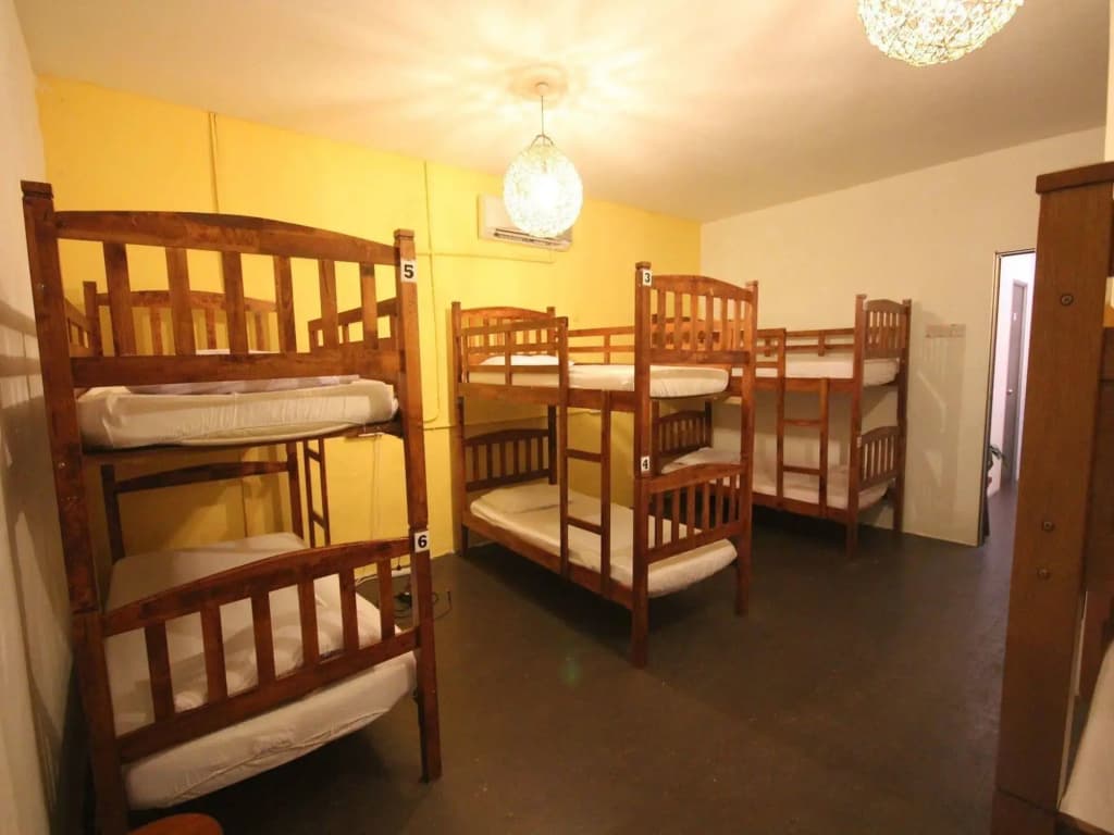 Cocoa Mews Cafe & Homestay - Hostel - photo 4