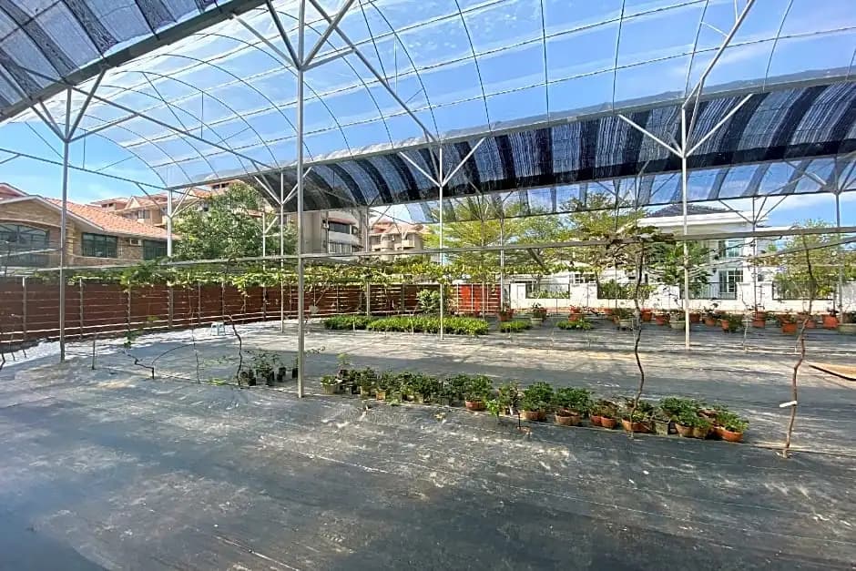 Home Grapevine Garden - photo 15