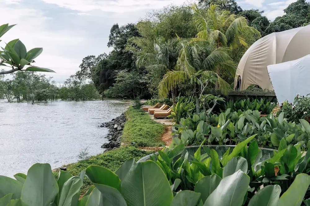 Cocoon Resort Kuching - photo 5