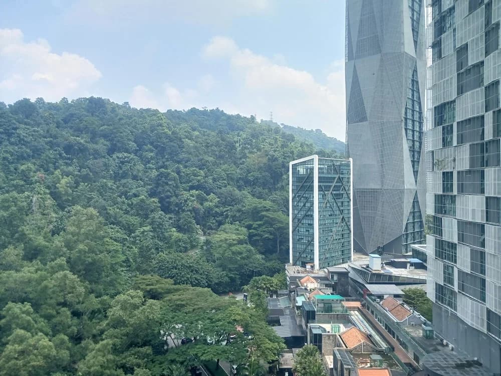 Asaya Damansara - photo 13