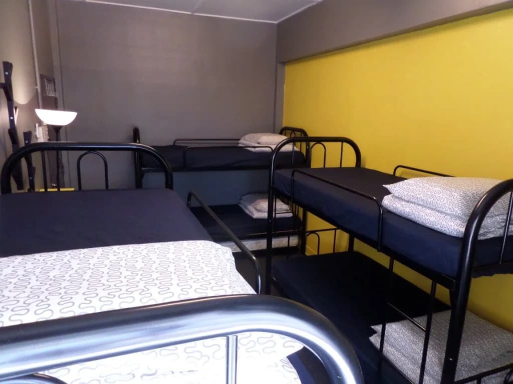 The Bunk by Olive - photo 3