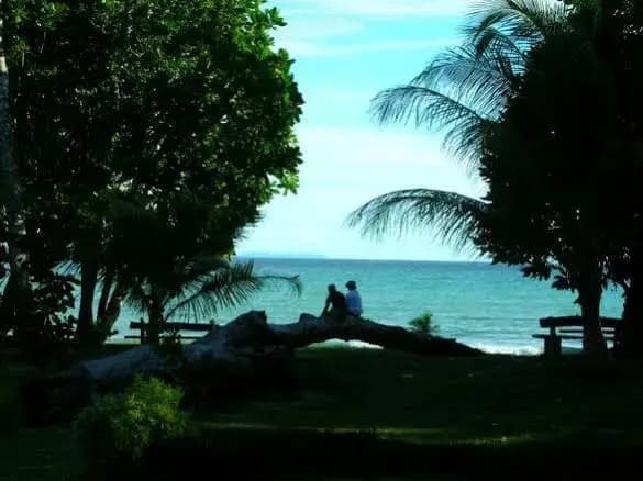 Pulau Tiga Resort - photo 3