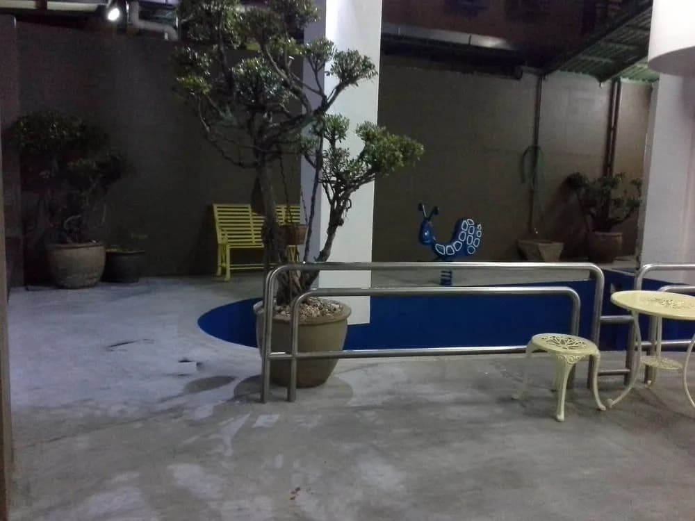 Urban Homestead - photo 11