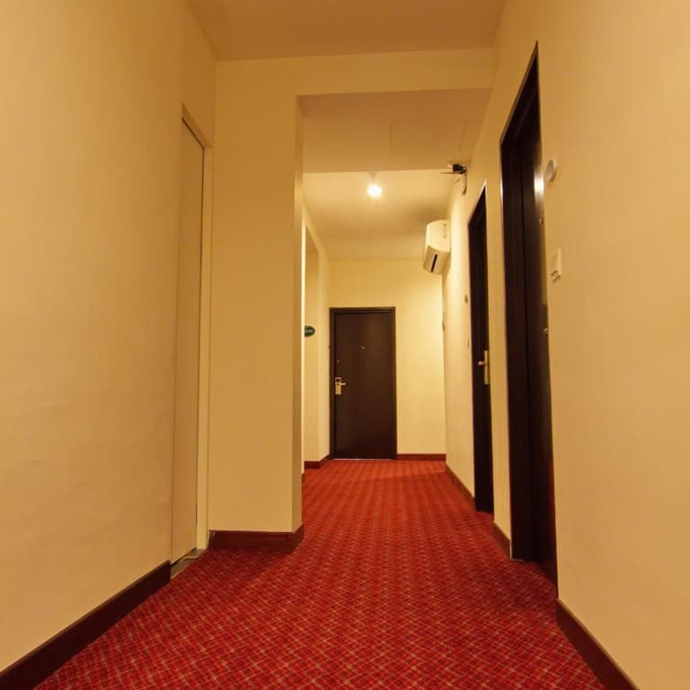 Molek Garden Hotel - photo 13
