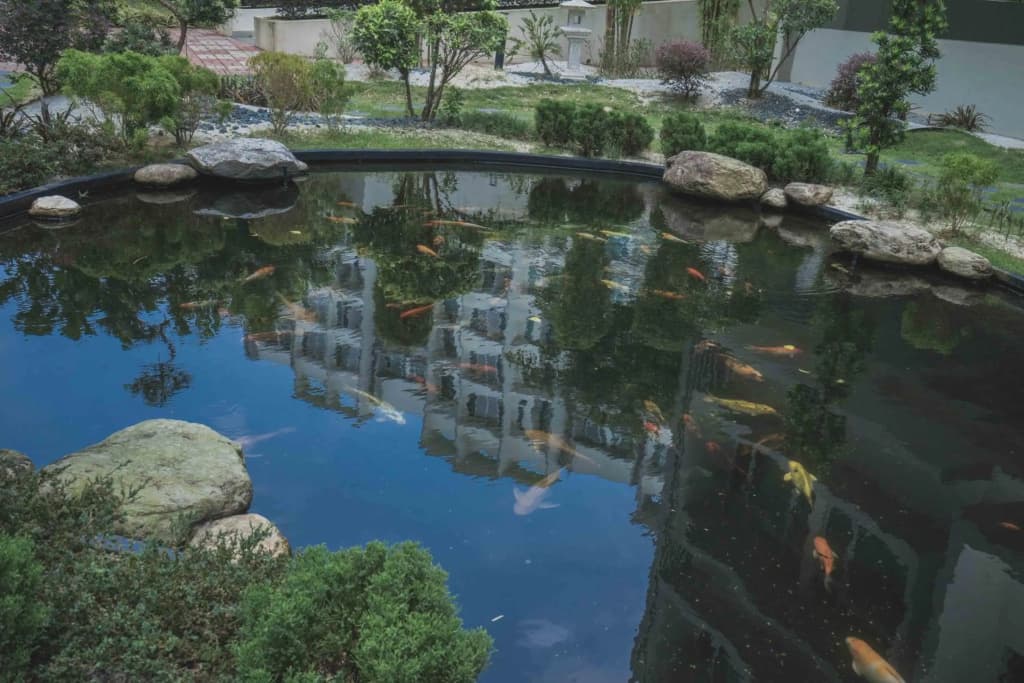 Shawn Gallery (肖恩客栈) Free WiFi @ Midori Green Mount Austin - photo 27