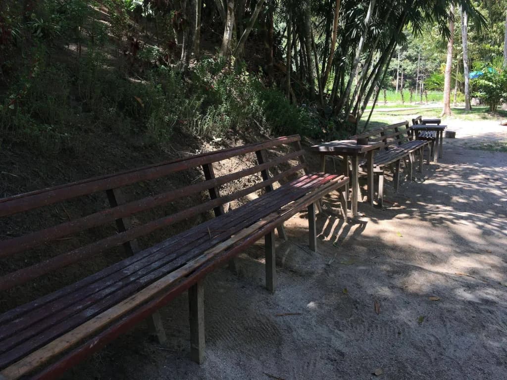 Rain Forest Inn - photo 6