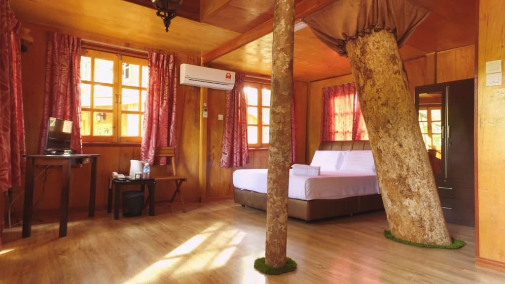 Borneo Tree House - photo 6
